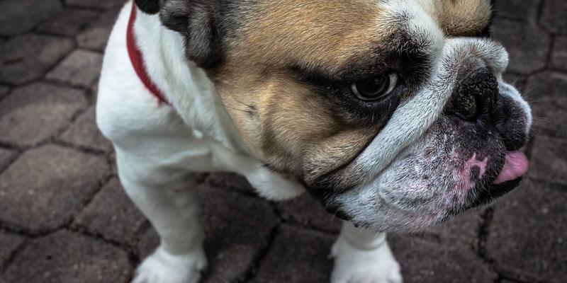 5G专网与工业互联网融合：构建低时延、高可靠智能制造网络的HLMTTC实践