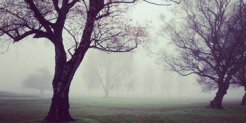 SD-WAN与SASE融合：重塑网站开发与数字营销的网络技术基石