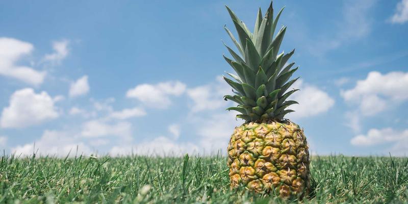 网站开发与数字营销的基石：构建高效网络性能管理与可观测性平台的关键要点