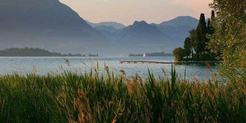 网站开发与网络技术新纪元：HLMTTC视角下SD-WAN与SASE的融合之道