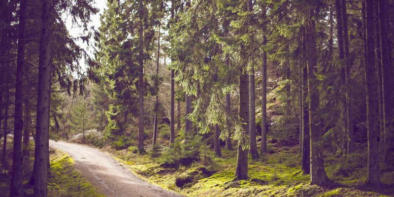 网络安全与数字营销:现代网络技术的双翼如何驱动商业未来