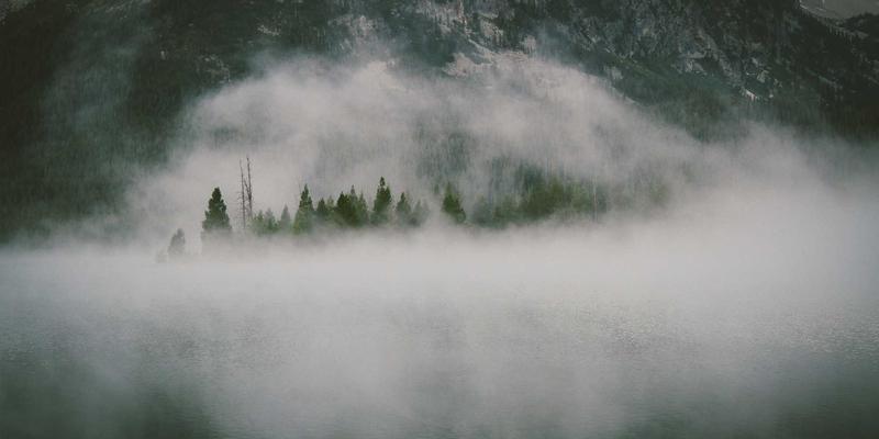 网络技术14:数字营销、网站开发与电子商务的融合创新