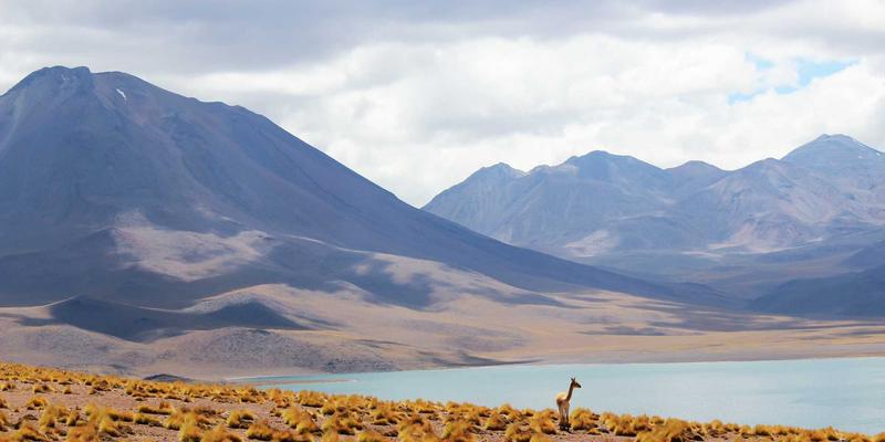 网络技术26：数字营销与网络安全的融合共生之道