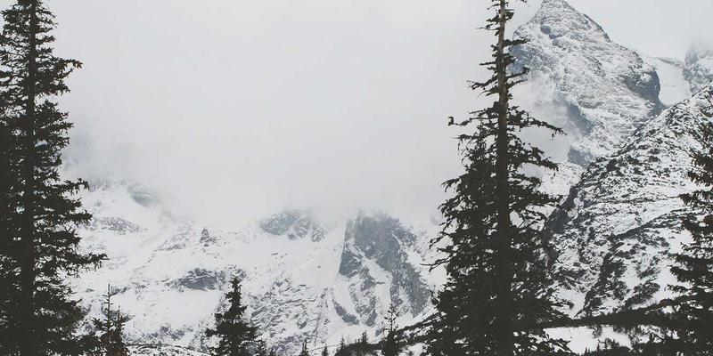 网络技术44：电商策略、网站开发与网络安全的三角协同