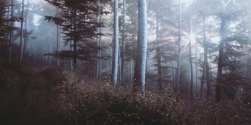 网络技术56：驱动电商策略与数字营销进化的核心技术矩阵