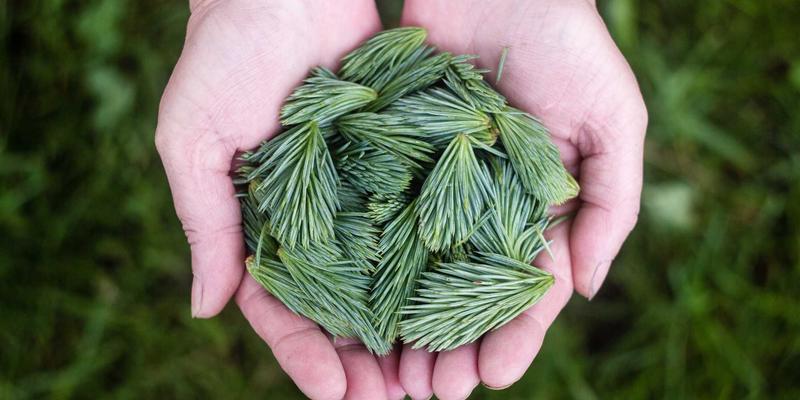 网络技术76：驱动电子商务策略创新的核心技术引擎