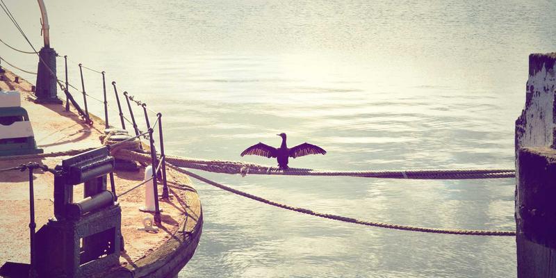 网络技术93：数字营销与网络安全的融合新范式