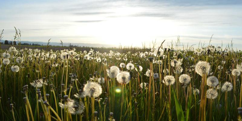 网络技术：驱动数字时代的核心引擎——从网站开发到数字营销与网络安全