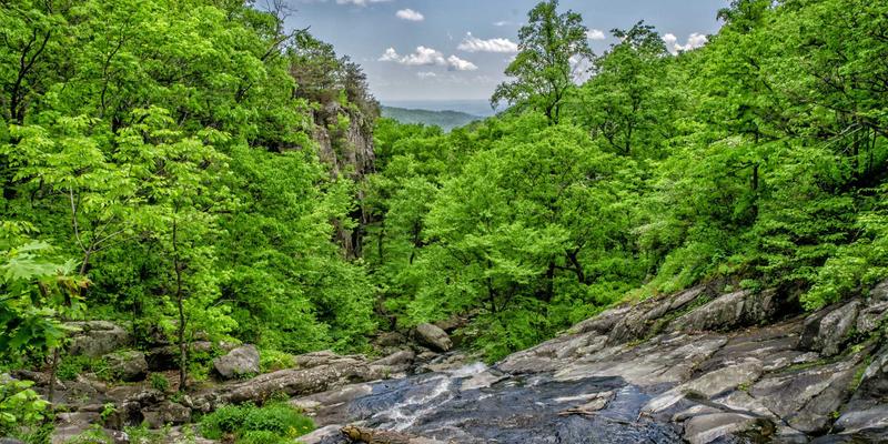 网络自动化运维新纪元：基于AI的故障预测与智能修复技术实践