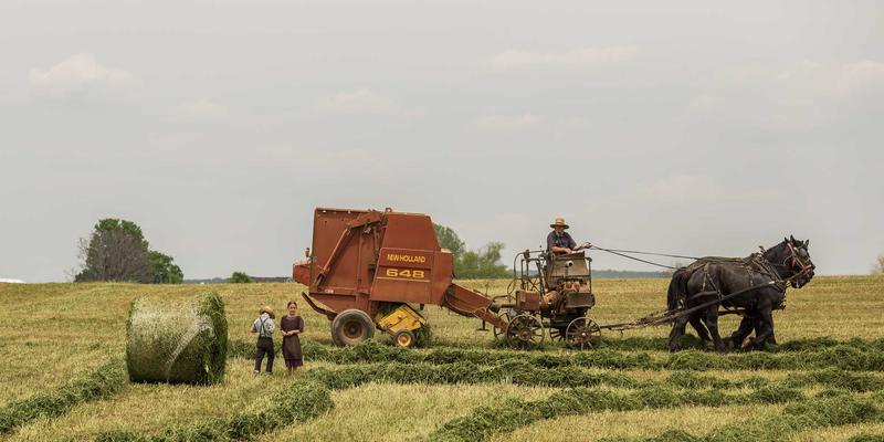 零信任架构重塑混合云安全：电商策略与网站开发的新范式